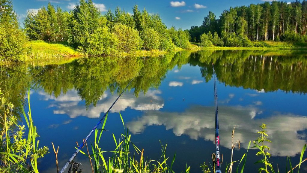 Примеры отличных мест для рыбалки