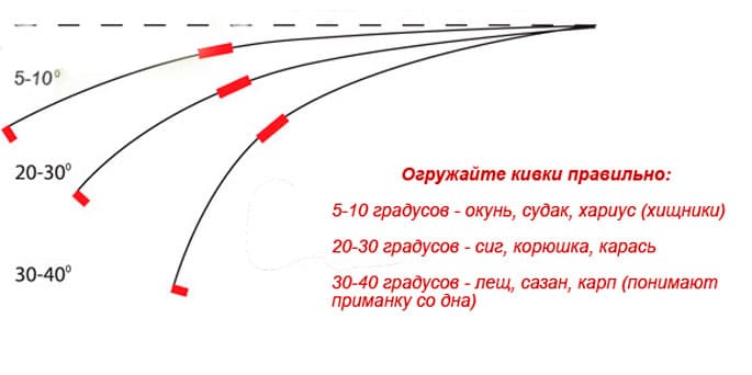 Как выбрать удочку и кивок?