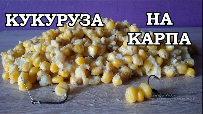 кукурузы для рыбалки на карпа